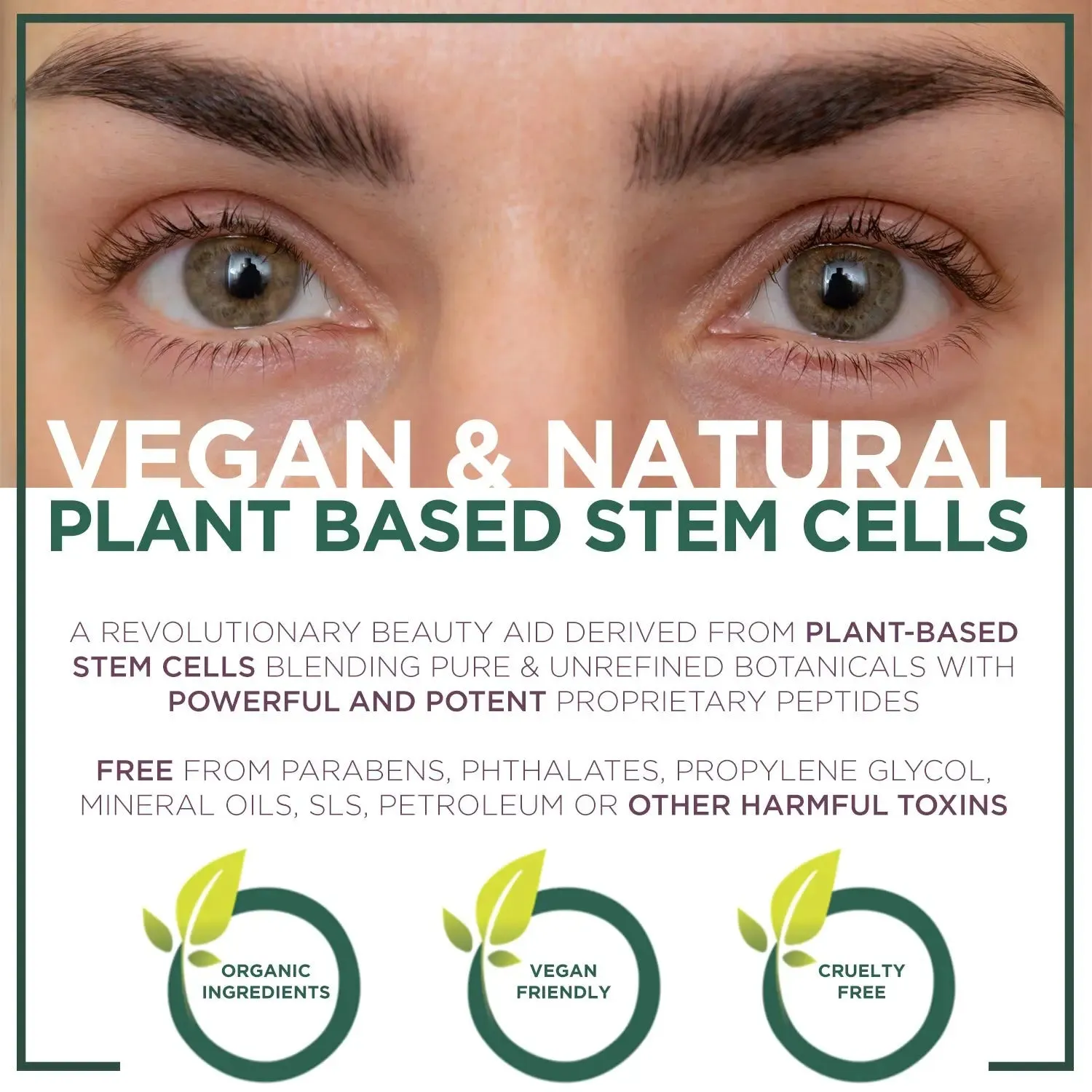 NuOrganic Eyebrow Serum Growth Enhancer Gel | Naturally Grow Fuller, Darker & Thicker brows | Plant Based Stem Cell Serum with Biotin & Growth Peptides | Fast Absorbing, Vegan & Cruelty Free (8ML)